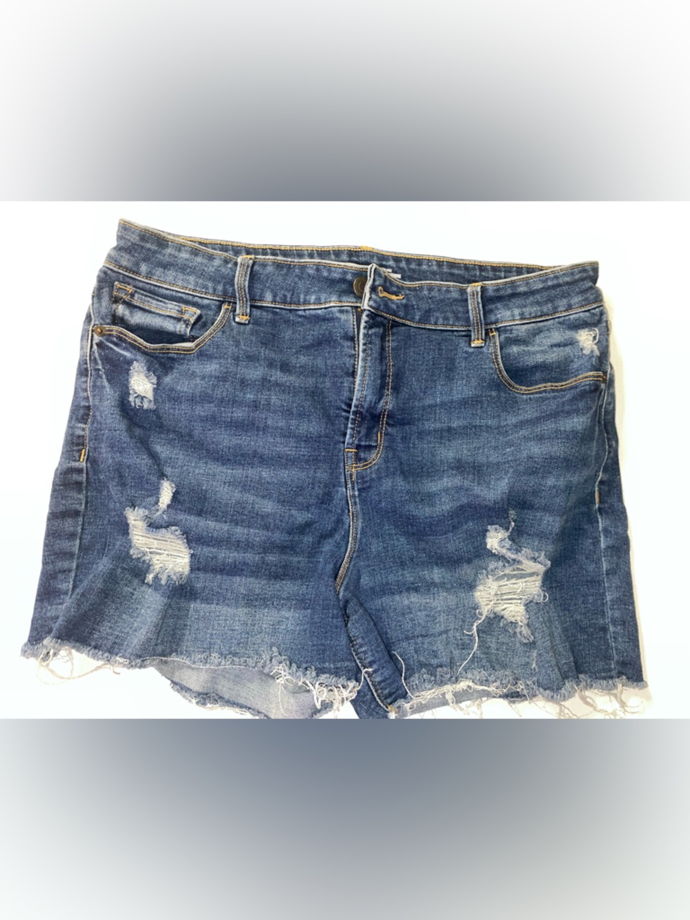 Distressed Denim Cutoff Shorts - Blue